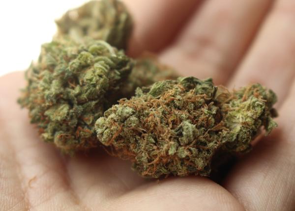 legalizarea canabisului mortalitate crescuta in trafic