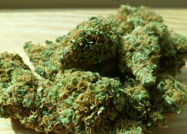 inca o ara legalizeaza canabisul in scop terapeutic