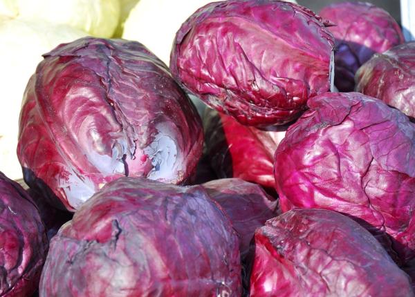 varza ro ie substan a care ii da culoarea intensa vezi ce efect are in organism