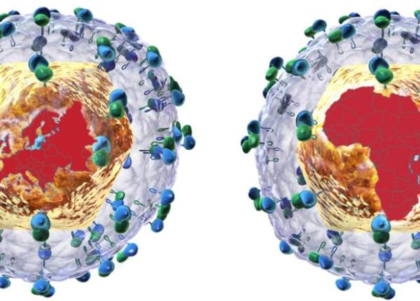 hepatita c tot ce trebuie sa tii despre infec ia cu virusul hepatic c