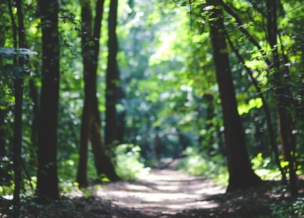 sanatate 10 obiceiuri ca sa fii fericit