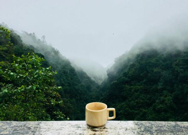 ginseng aloe extract de melci ce efecte au cu adevarat