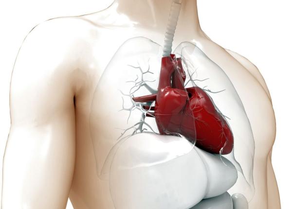 prima inima tiparita la imprimanta 3d ar putea fi startul unei noi ere a transplantului