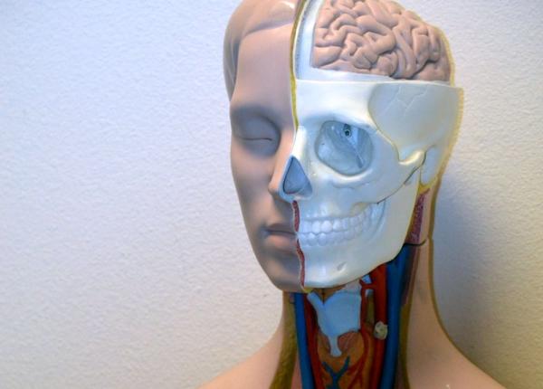 meningita meningococica tot ce trebuie sa tii despre boala extrem de contagioasa