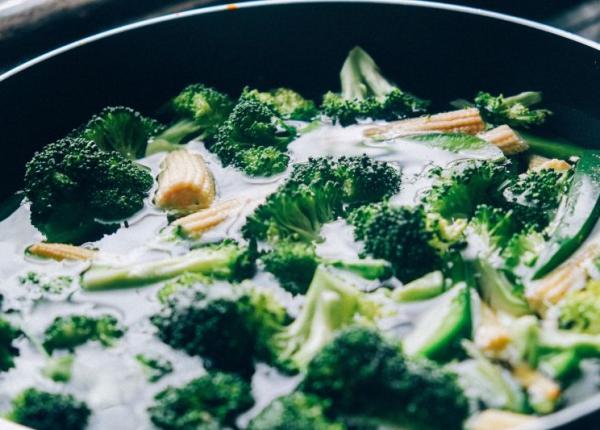 alimente gatite cum le mananci i cum ar trebui de fapt consumate