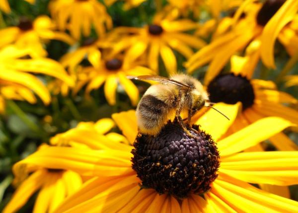 vitamina e ce se intampla in corp cand nu e suficienta