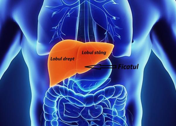 hepatotoxicitate lista de medicamente i suplimente care distrug ficatul