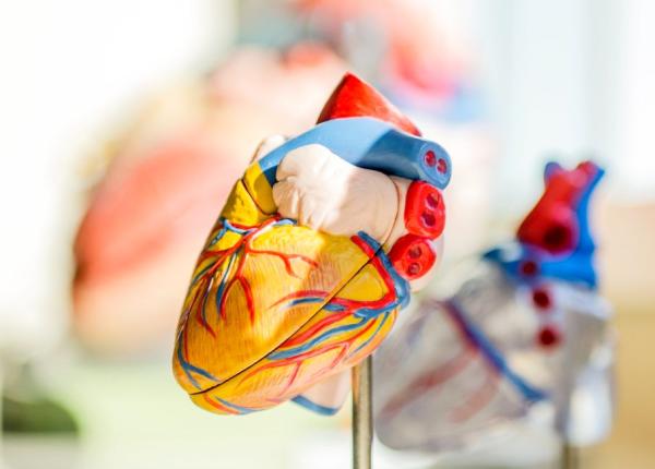 infarct recuperare totala cercetatorii au folosit terapia cu celule stem