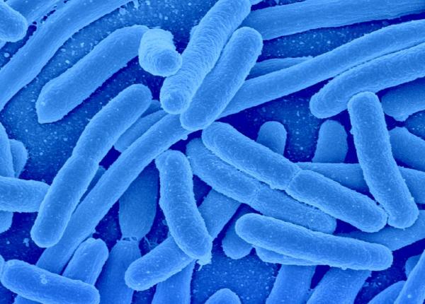 trei copii cu tuberculoza la o coala din braila