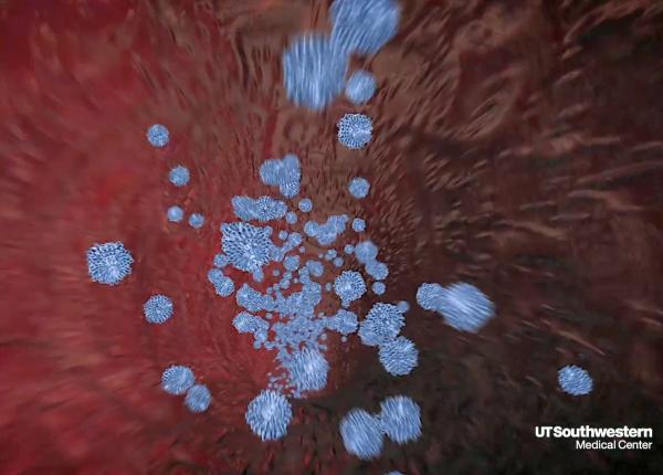 cheaguri de sange enzima responsabila de formarea lor poate fi blocata