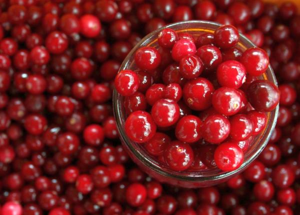 coacaze solu ie pentru rezisten a la antibiotice