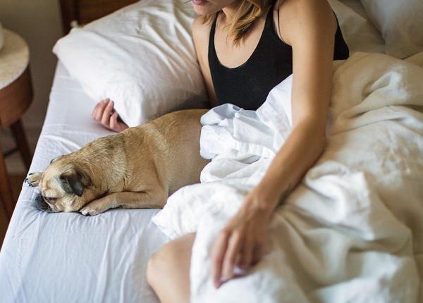 insomnia cele mai bune doua strategii care o combat dovezi medicale