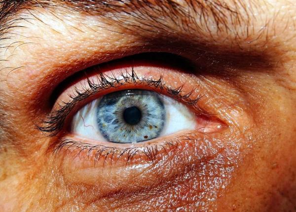 boli cardiovasculare ase semne neobi nuite care i i arata ca ai inima bolnava