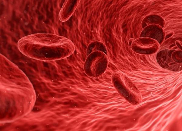 cancerul hematologic complica ii studiul care ii ajuta pe medici sa le previna cancerul hematologic complica ii studiul care ii ajuta pe medici sa le previna