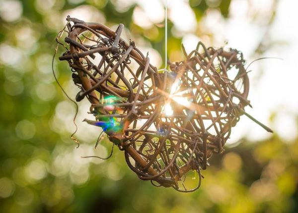 canicula cum ne distruge inima la hipertensivi efecte nebanuite