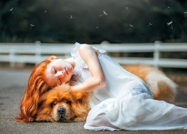 cancer osos mortal asemanarile dintre copii i caini ar duce la tratamente mai bune