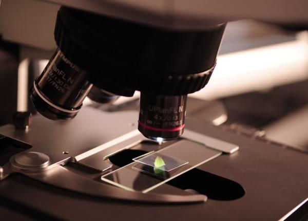 microbiom gene prima harta a bacteriilor din corpul uman