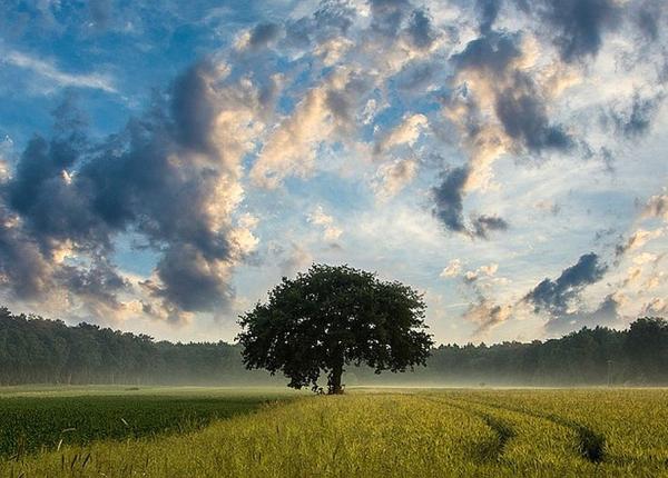 anun oficial nu trece niciun nor radioactiv deasupra romaniei