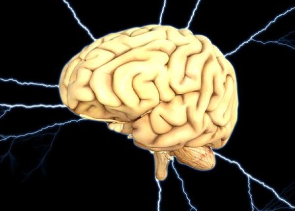 semin ele din care rasare parkinson proteinele vinovate