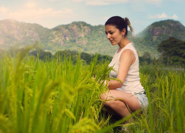 depresia anxietatea ameliorate prin activita i de gradinarit