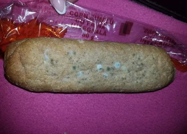 cornuri cu mucegai in doua scoli din mures