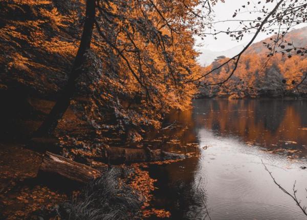 infec ie mortala cand un banal scaldat se transforma in deces