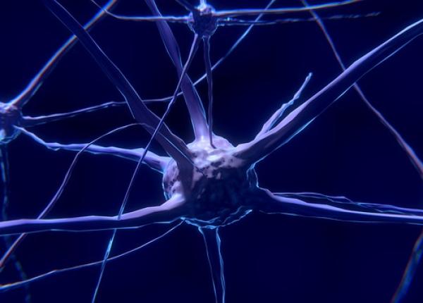 tensiune arteriala alzheimer cum o afecteaza una pe cealalta tensiune arteriala alzheimer cum o afecteaza una pe cealalta