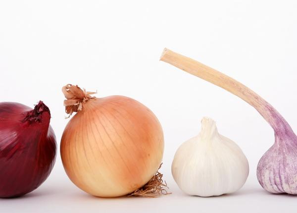 consumul de ceapa i usturoi poate reduce riscul de cancer la san