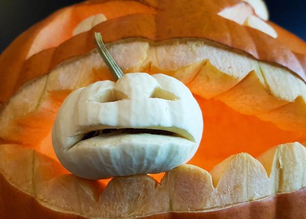 dovleacul fructul minune care i i imbunata e te sanatatea