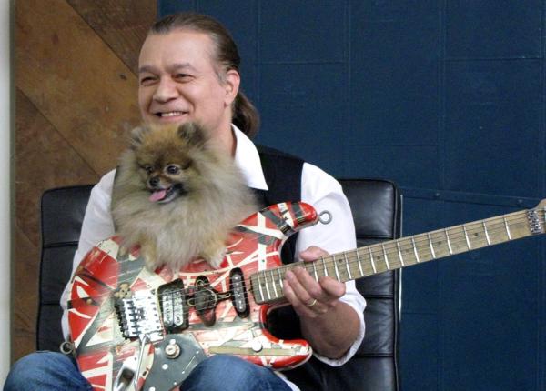 chitaristul eddie van halen ar urma tratament pentru cancer la gat