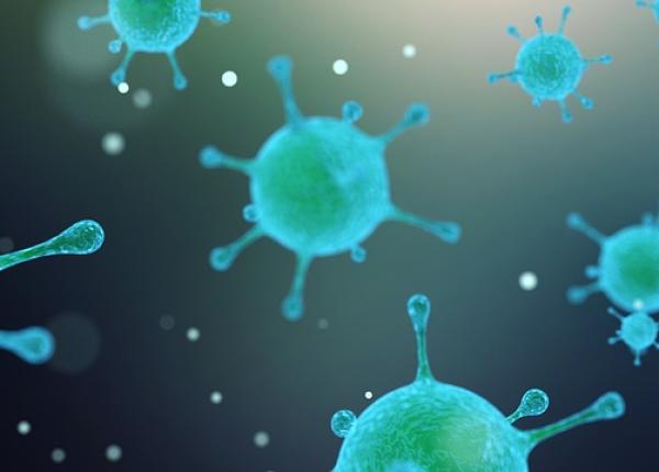 care este diferen a dintre un probiotic i un prebiotic i de ce ai nevoie de ele