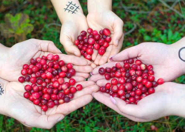 meri oarele beneficii nebanuite pentru sanatate