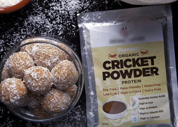 insectele mancarea care poate salva planeta