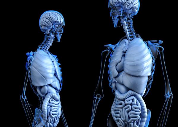 encefalopatia hepatica simptome cauze i diagnostic