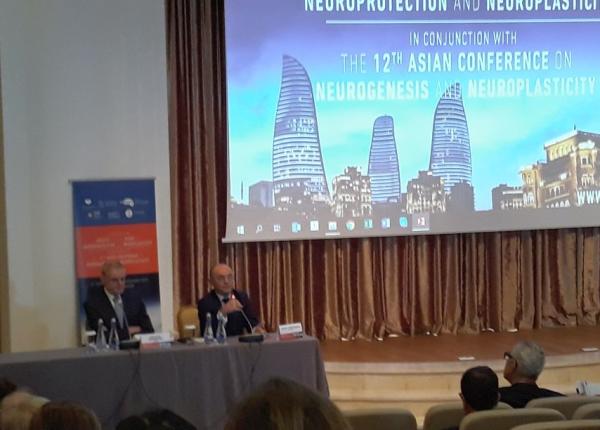 nouta i in recuperarea dupa avc i traumatismele cranio cerebrale elita neurologiei reunita la baku