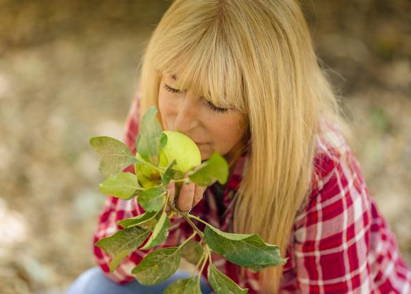 5 obiceiuri alimentare sanatoase pe care trebuie sa le inve i