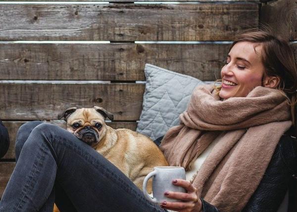 boli pe care le po i lua de la animalele de companie