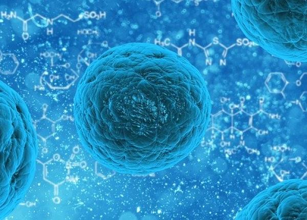 magneziul calcaiul achile pentru bacterii