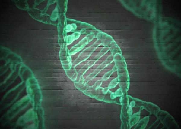 fibroza chistica rolul geneticii in declan area afec iunii