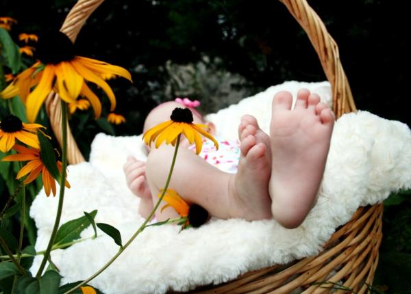 persoanele nascute primavara si vara au o probabilitate mai mare de deces din cauza bolilor cardiovasculare