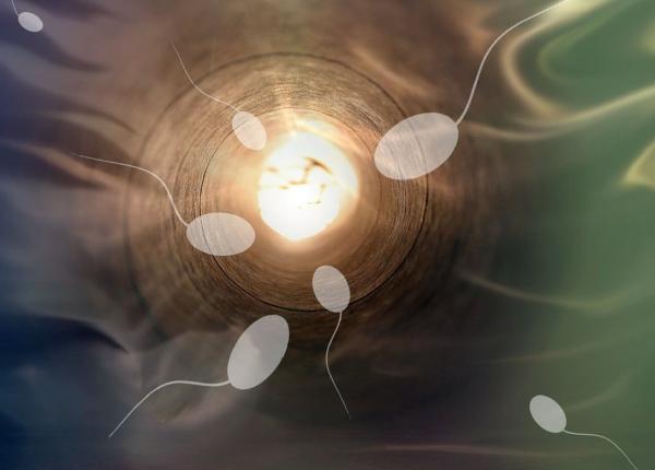 fertilizare in vitro accesibila statul ungar preia clinici private de profil i cre te finan area