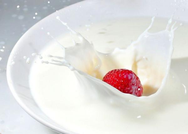 probioticele pot ajuta la stimularea starii de spirit i a func iei cognitive