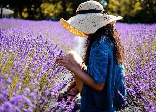 lavanda poate reduce starile de anxietate la femei