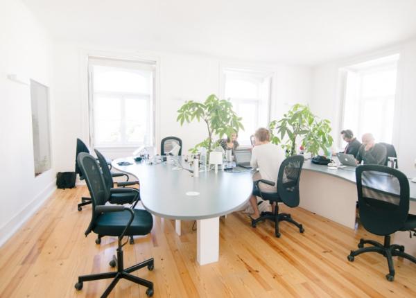 plantele i i pot imbunata i via a la birou