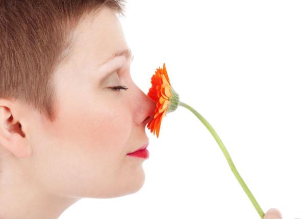 sase lucruri despre nas de ce se pierde mirosul sau cat de performant poate fi nasul uman