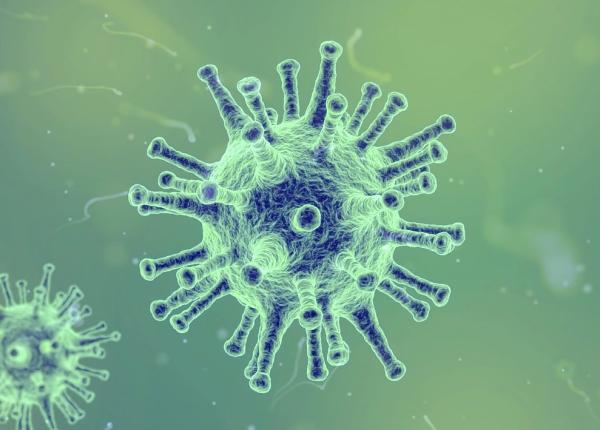 studiul care arata provenien a noului coronavirus din china cum a ajuns la oameni