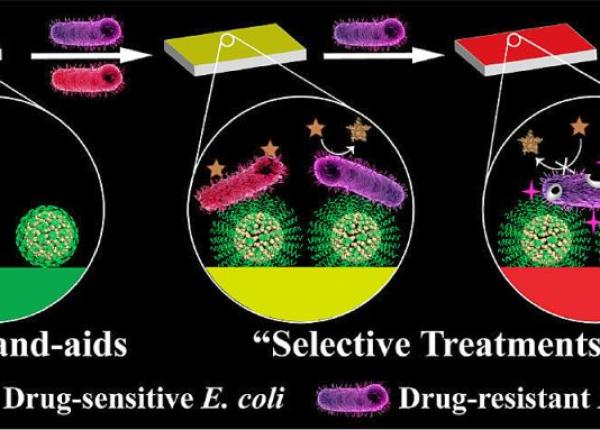 bandaje care pot sim i i trata infec iile bacteriene