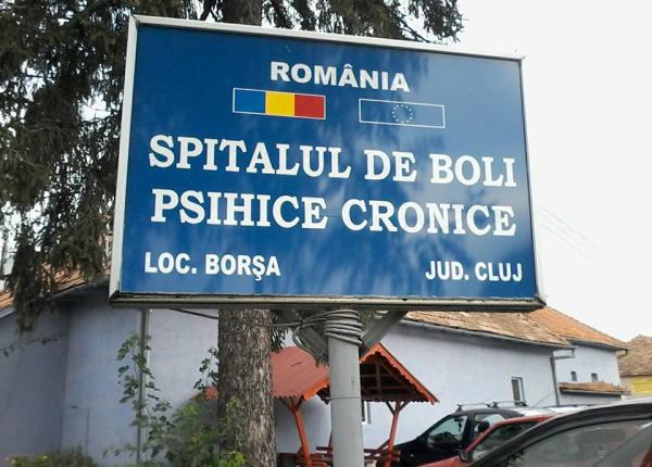 noul spital de boli psihice cronice borsa a fost receptionat