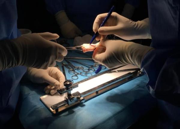 prelevare de organe durerea unei familii transformata in ansa la via a pentru al i oameni