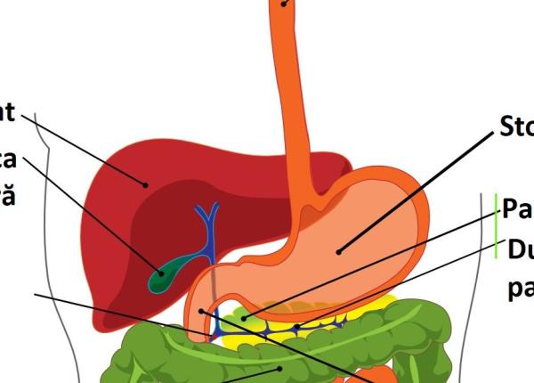 cancerul ductului biliar proteina care ar putea duce la imbunata irea tratamentului